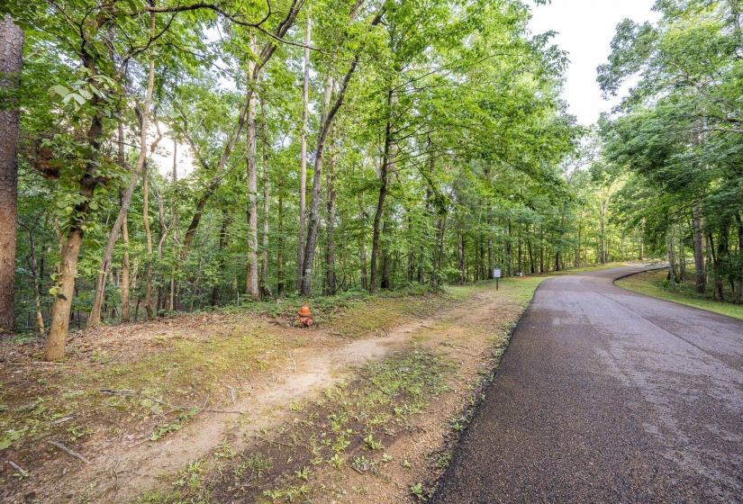 LOT 159 ANDERSON HOLLOW RD, Savannah, Tennessee 38372, ,Land,For Sale,ANDERSON HOLLOW,10222870