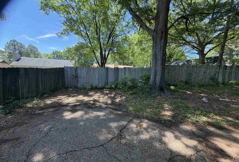 Private outdoor space featuring a wood plank fence, mature trees, and a ground surface with visible cracks