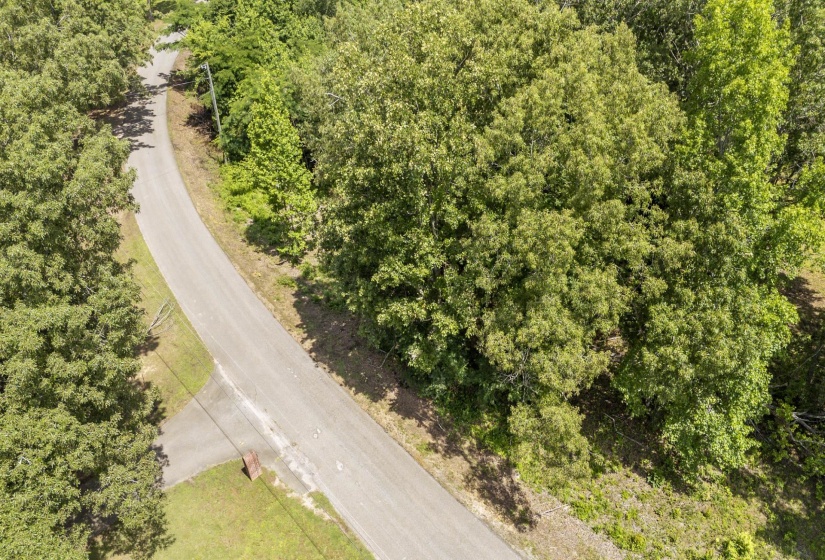 XXX OAK GROVE RD, Savannah, Tennessee 38372, 0 , 0 ,0,Land,For Sale,OAK GROVE,0,10222902