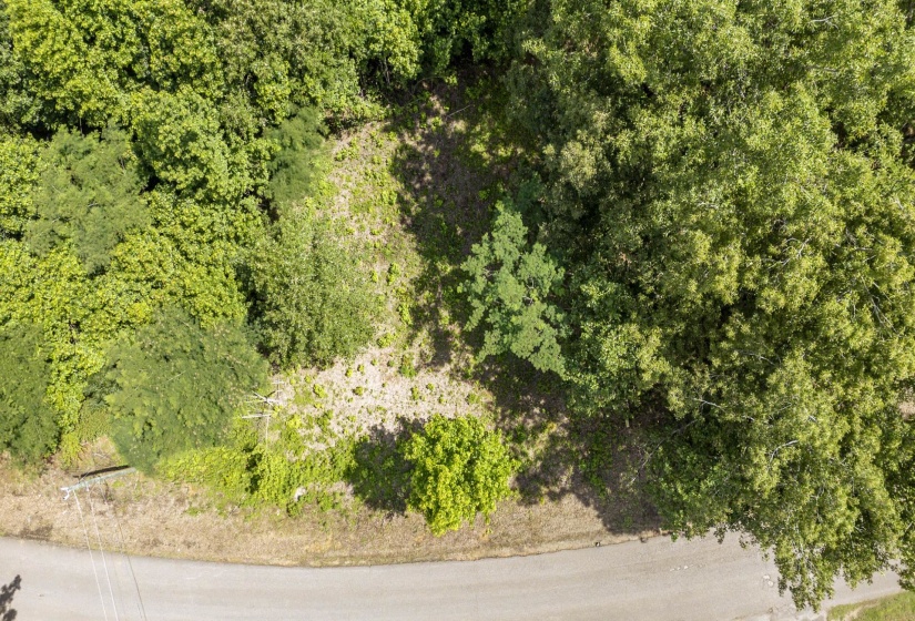 XXX OAK GROVE RD, Savannah, Tennessee 38372, 0 , 0 ,0,Land,For Sale,OAK GROVE,0,10222902