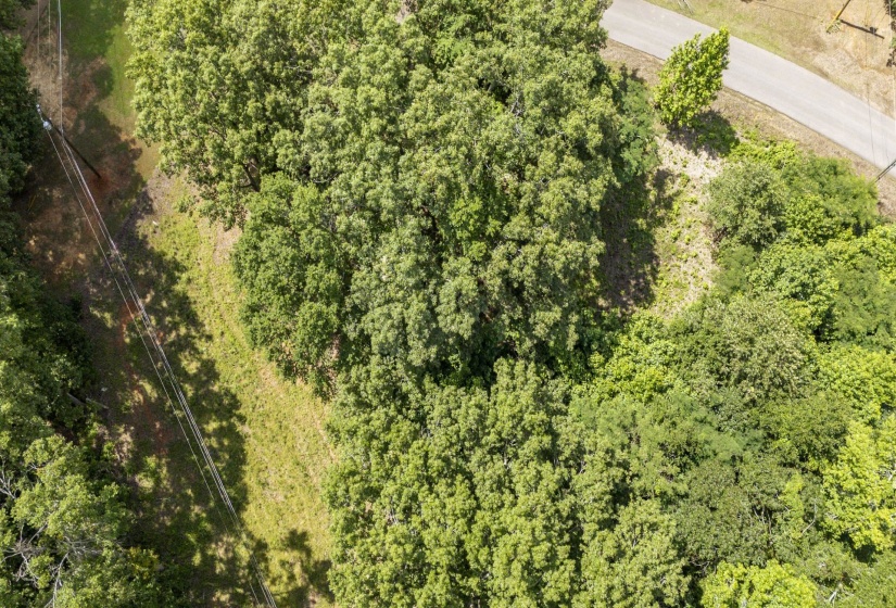 XXX OAK GROVE RD, Savannah, Tennessee 38372, 0 , 0 ,0,Land,For Sale,OAK GROVE,0,10222902