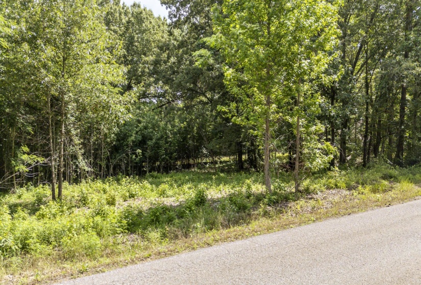 XXX OAK GROVE RD, Savannah, Tennessee 38372, 0 , 0 ,0,Land,For Sale,OAK GROVE,0,10222902