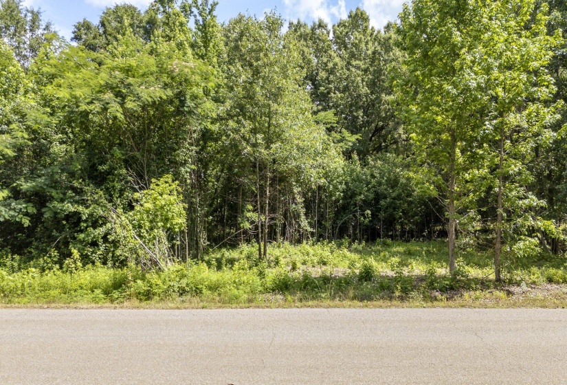 XXX OAK GROVE RD, Savannah, Tennessee 38372, 0 , 0 ,0,Land,For Sale,OAK GROVE,0,10222902