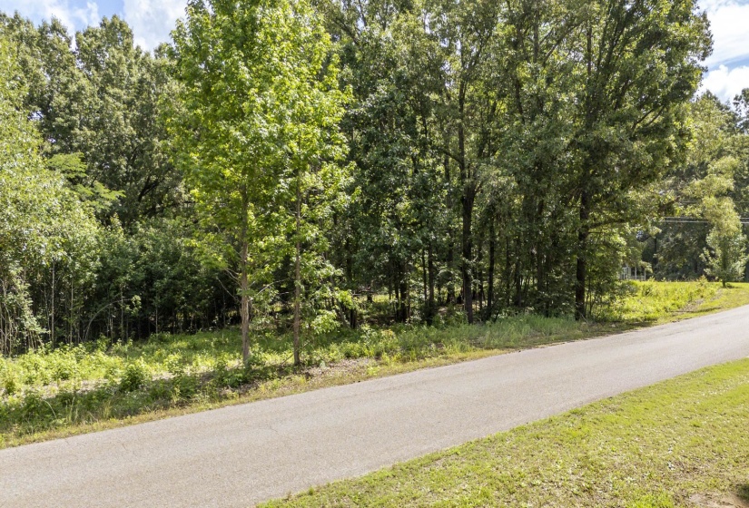 XXX OAK GROVE RD, Savannah, Tennessee 38372, 0 , 0 ,0,Land,For Sale,OAK GROVE,0,10222902