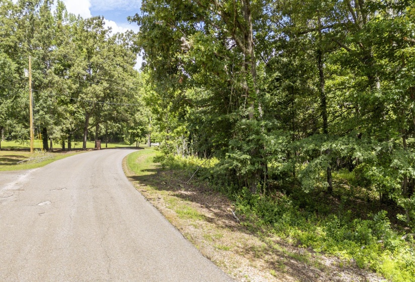 XXX OAK GROVE RD, Savannah, Tennessee 38372, 0 , 0 ,0,Land,For Sale,OAK GROVE,0,10222902