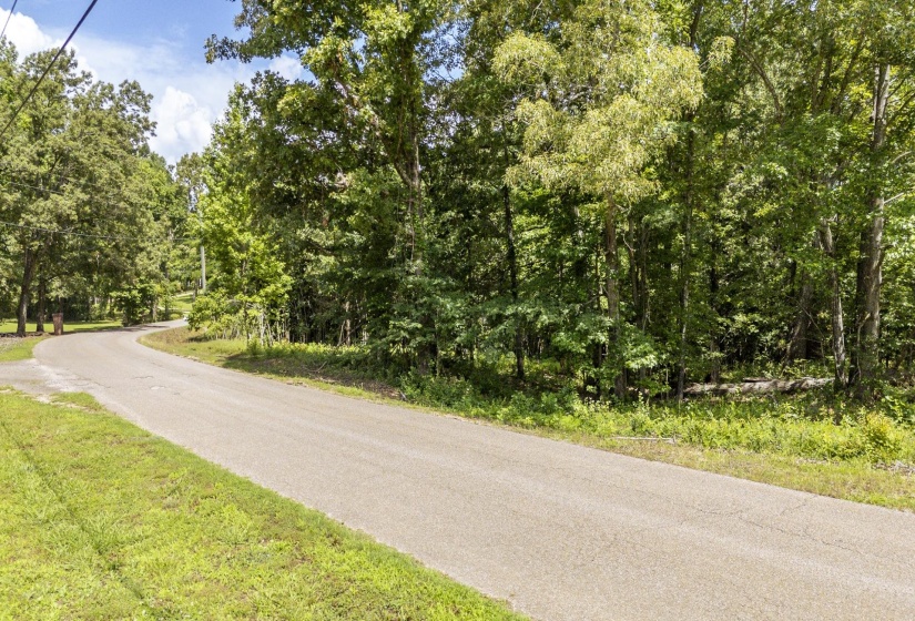 XXX OAK GROVE RD, Savannah, Tennessee 38372, 0 , 0 ,0,Land,For Sale,OAK GROVE,0,10222902