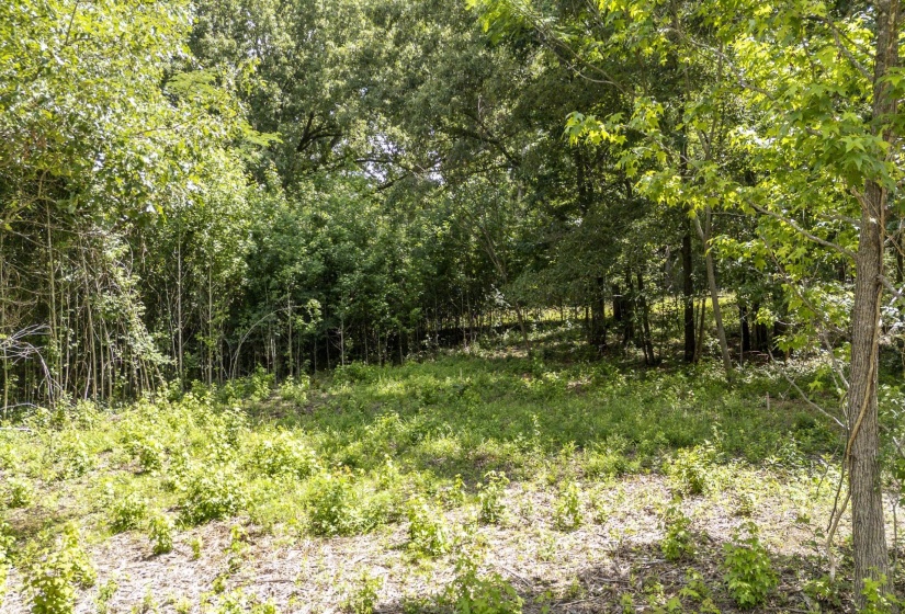 XXX OAK GROVE RD, Savannah, Tennessee 38372, 0 , 0 ,0,Land,For Sale,OAK GROVE,0,10222902