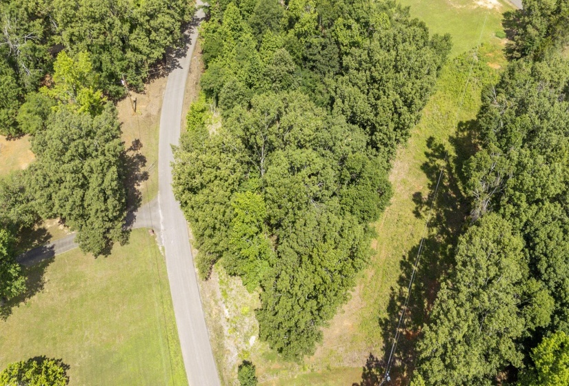 XXX OAK GROVE RD, Savannah, Tennessee 38372, 0 , 0 ,0,Land,For Sale,OAK GROVE,0,10222902