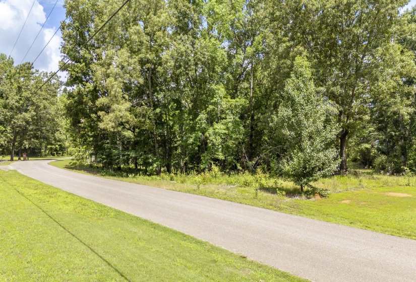 XXX OAK GROVE RD, Savannah, Tennessee 38372, 0 , 0 ,0,Land,For Sale,OAK GROVE,0,10222902