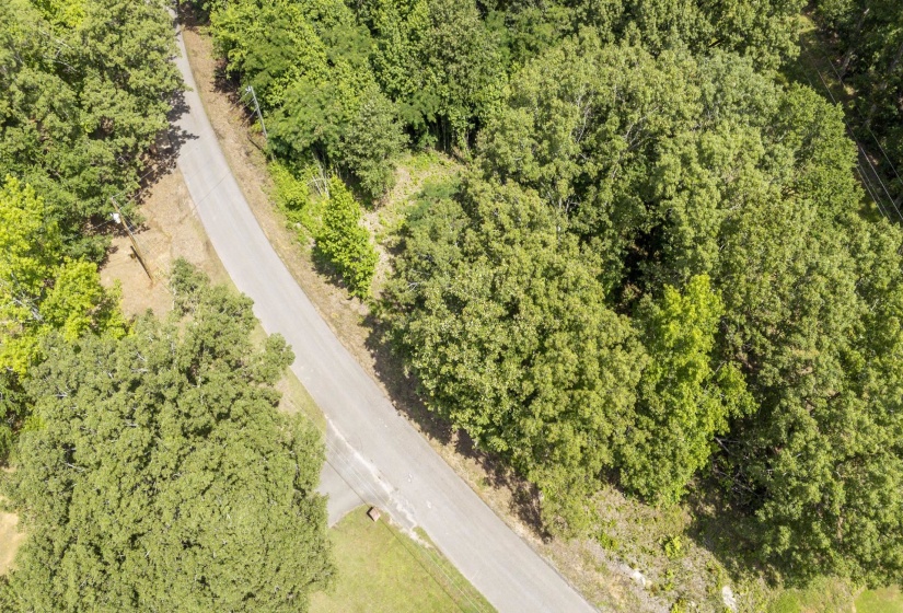XXX OAK GROVE RD, Savannah, Tennessee 38372, 0 , 0 ,0,Land,For Sale,OAK GROVE,0,10222902