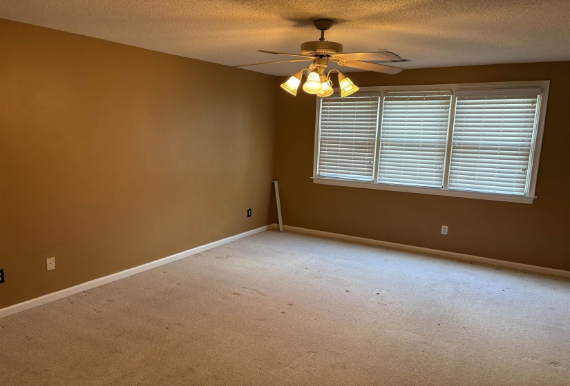 Brown walls with white trim, beige carpet, and a white ceiling fan with three light fixtures