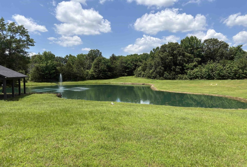 Expansive green lawn with a private pond featuring a fountain