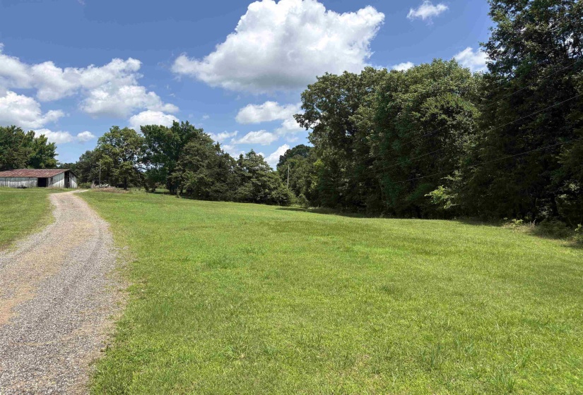 Expansive grassy lot featuring a gravel drive, mature trees, and an outbuilding with a metal roof