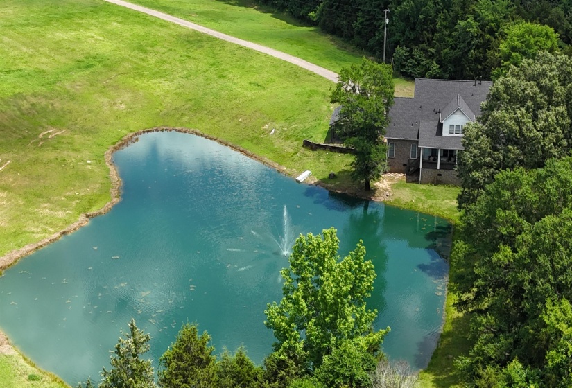 Expansive pond with a central fountain feature