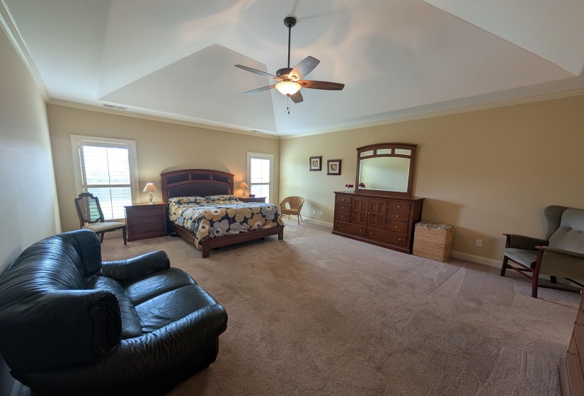 Spacious bedroom featuring a tray ceiling, ceiling fan with integrated lighting, recessed windows with blinds, and neutral carpet flooring