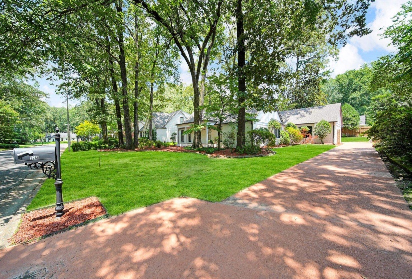View of grassy yard