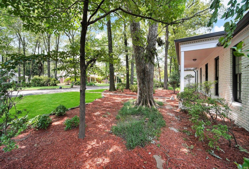 View of green lawn