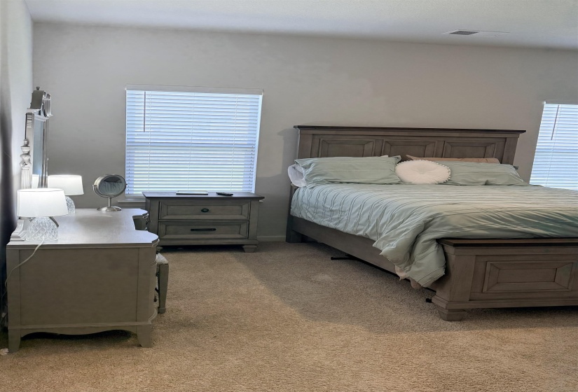 Carpeted room featuring two windows with blinds, a built-in ceiling vent, and neutral wall tones