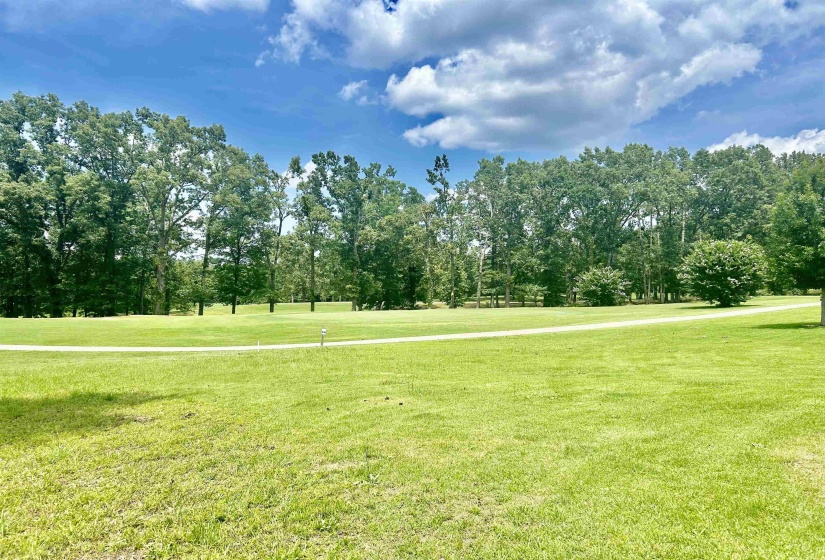 13 LEGENDS DR, Counce, Tennessee 38326, ,Land,For Sale,LEGENDS,10222953