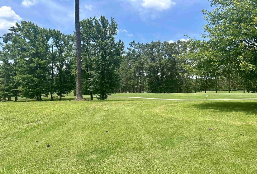13 LEGENDS DR, Counce, Tennessee 38326, ,Land,For Sale,LEGENDS,10222953