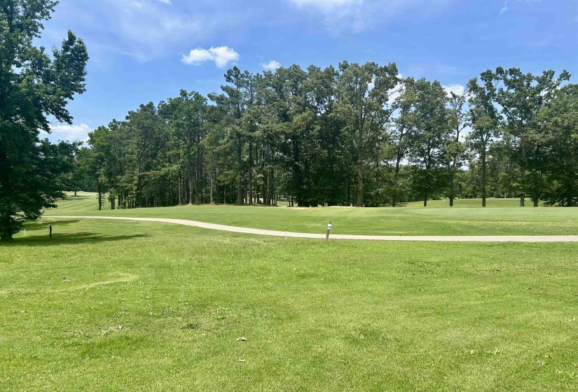 13 LEGENDS DR, Counce, Tennessee 38326, ,Land,For Sale,LEGENDS,10222953