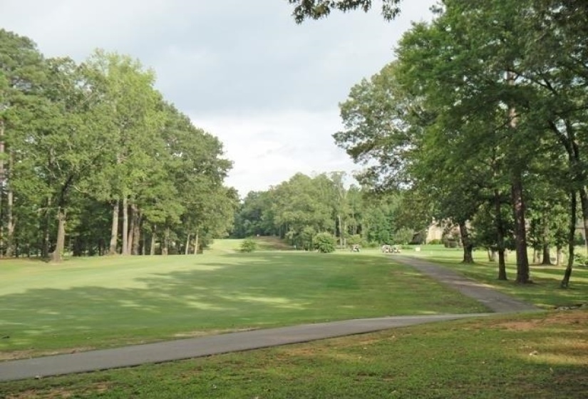 13 LEGENDS DR, Counce, Tennessee 38326, ,Land,For Sale,LEGENDS,10222953