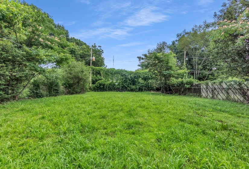 Expansive green space featuring a lush lawn and perimeter foliage