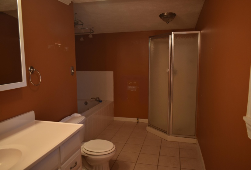 Full bathroom featuring light tile patterned floors, a bath, a stall shower, and vanity