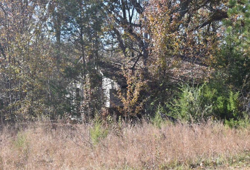 View of undeveloped land