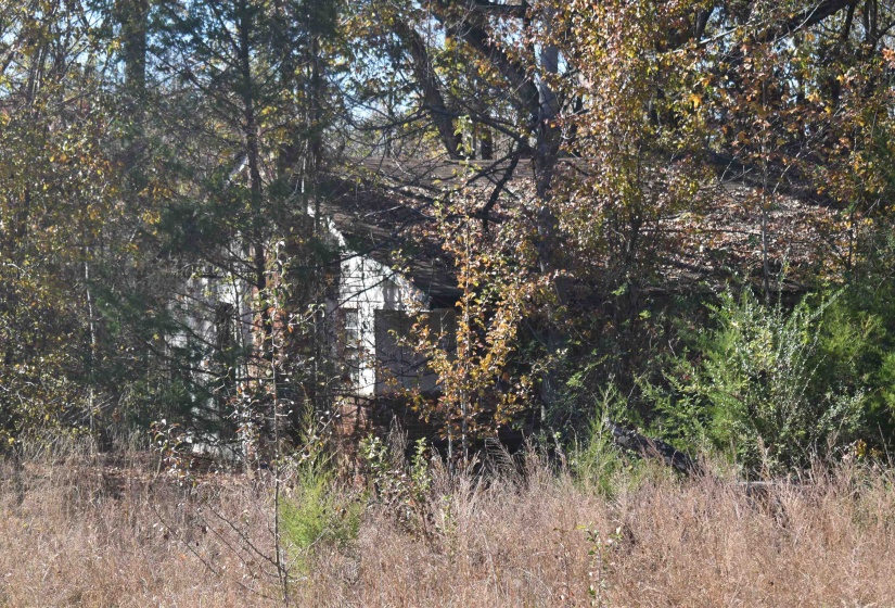 View of tree filled area