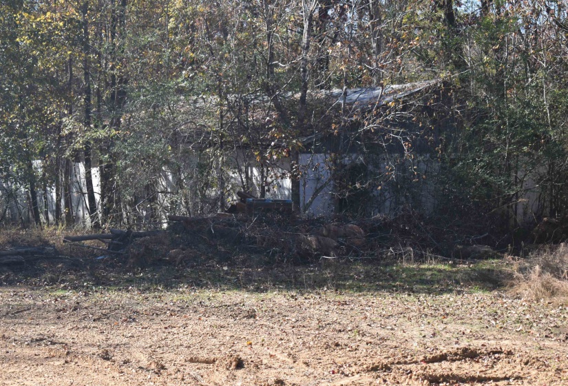 View of undeveloped land