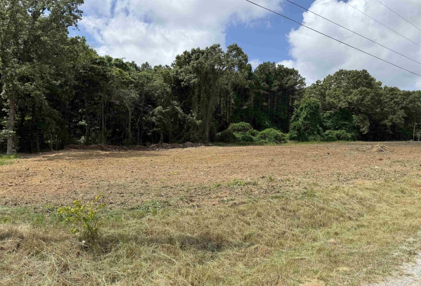 240 DEMEKA RD, Somerville, Tennessee 38068-0000, ,Land,For Sale,DEMEKA,10222987