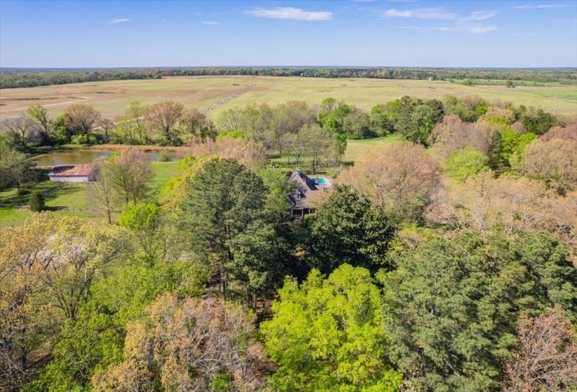 230 LEVY DR, Somerville, Tennessee 38068, ,Land,For Sale,LEVY,10223007