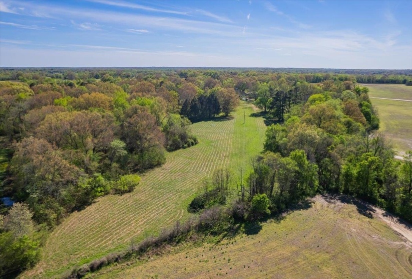 230 LEVY DR, Somerville, Tennessee 38068, ,Land,For Sale,LEVY,10223007