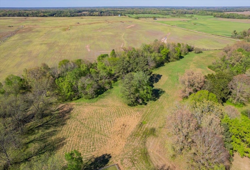 230 LEVY DR, Somerville, Tennessee 38068, ,Land,For Sale,LEVY,10223007