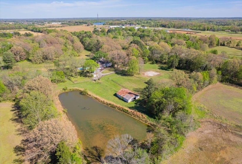 230 LEVY DR, Somerville, Tennessee 38068, ,Land,For Sale,LEVY,10223007