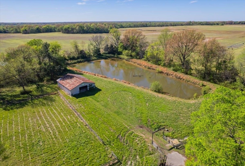 230 LEVY DR, Somerville, Tennessee 38068, ,Land,For Sale,LEVY,10223007