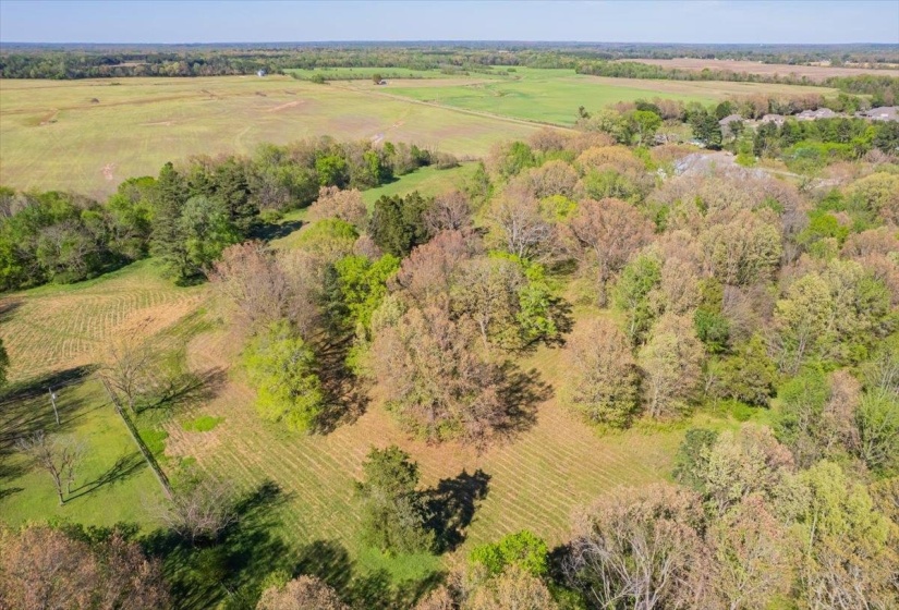 230 LEVY DR, Somerville, Tennessee 38068, ,Land,For Sale,LEVY,10223007