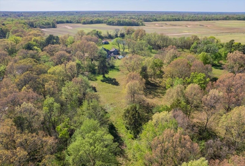 230 LEVY DR, Somerville, Tennessee 38068, ,Land,For Sale,LEVY,10223007