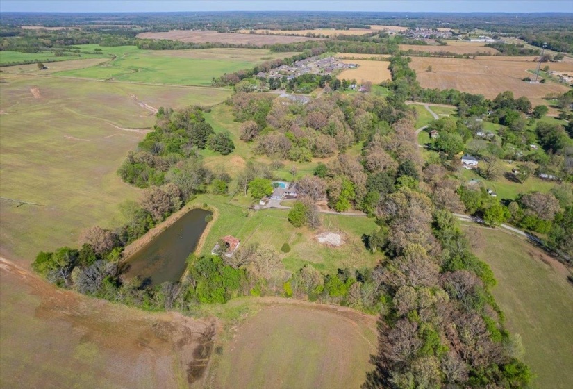 230 LEVY DR, Somerville, Tennessee 38068, ,Land,For Sale,LEVY,10223007