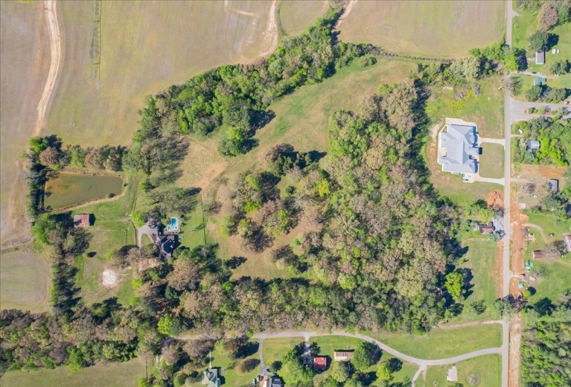 230 LEVY DR, Somerville, Tennessee 38068, ,Land,For Sale,LEVY,10223007