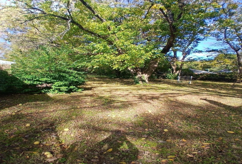 Spacious outdoor area featuring mature trees and established shrubbery, with a grassy ground cover