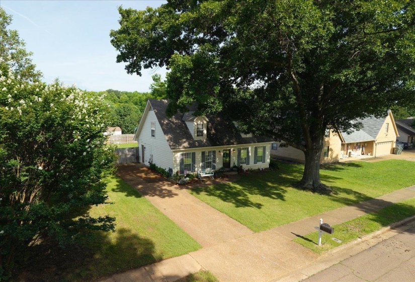 Cape Cod style residence featuring white siding and light green shutters