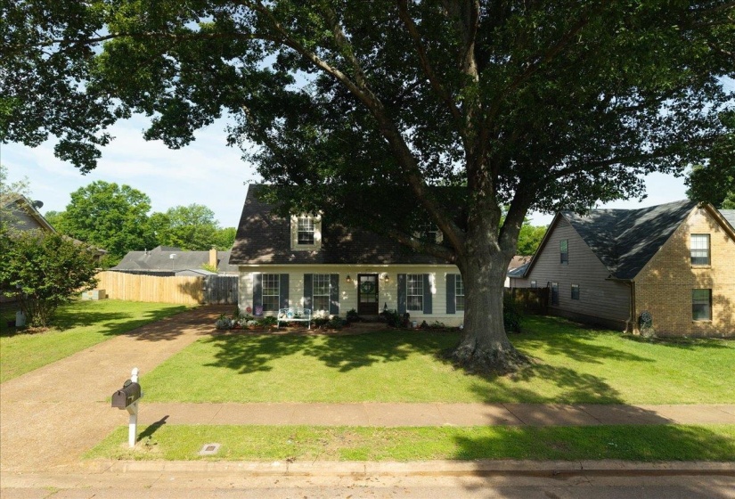 Traditional-style residence featuring a prominent mature tree, a paved driveway, and a manicured front lawn