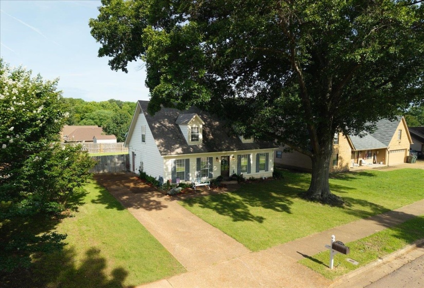 White siding exterior with dormer windows, grey shingles, and a mature tree