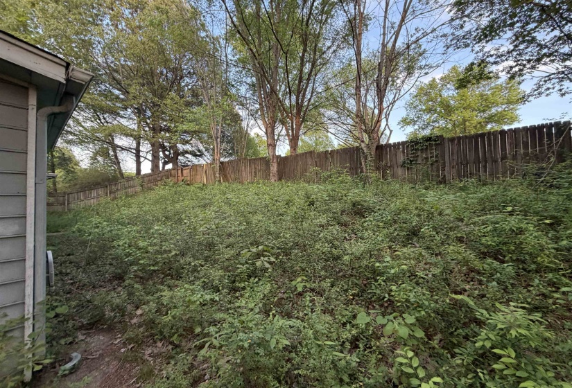 Side yard featuring an established wood fence and mature trees