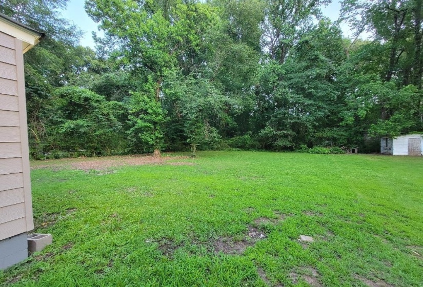 Expansive rear yard featuring green lawn and mature trees