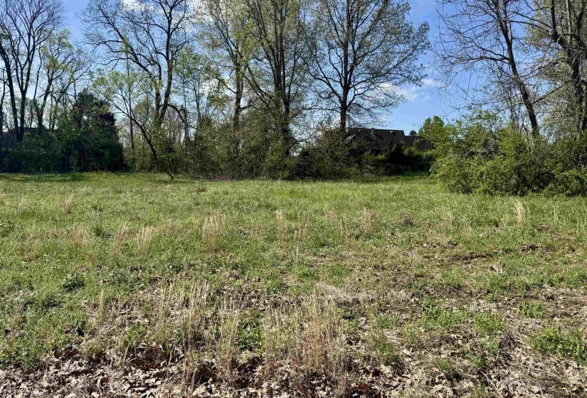 059 YORK CMNS ST, Ripley, Tennessee 38063, ,Land,For Sale,YORK CMNS,10223026
