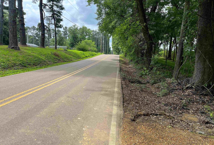6225 RICKS RD, Arlington, Tennessee 38002, ,Land,For Sale,RICKS,10223030