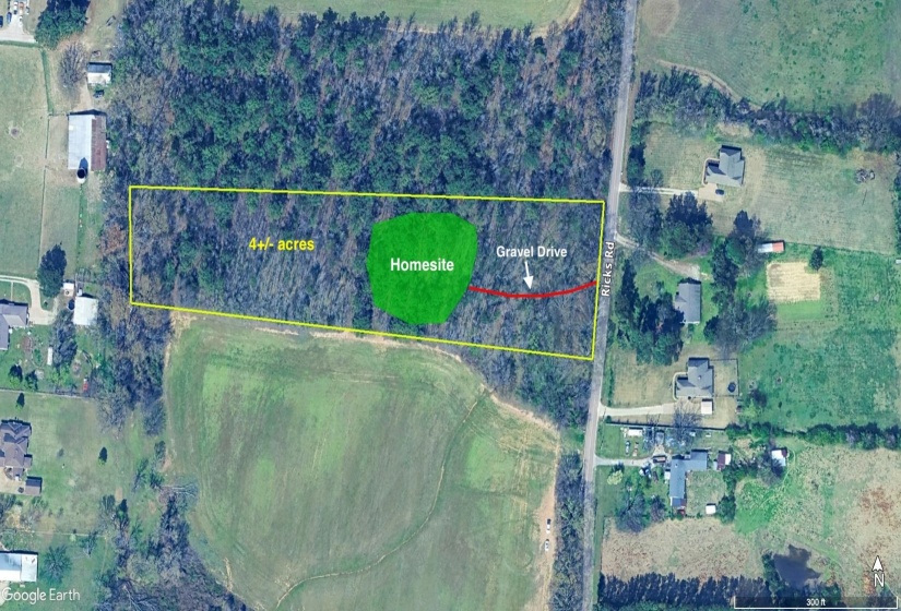 6225 RICKS RD, Arlington, Tennessee 38002, ,Land,For Sale,RICKS,10223030